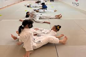 Image result for York Railway Institute Judo Club