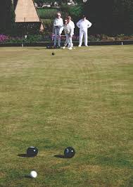 Image result for Painswick Bowling Club