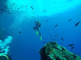 Image result for Scuba Fun