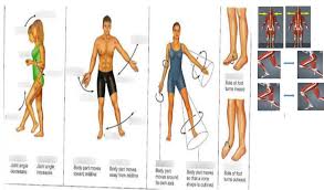 Image result for body midline
