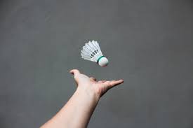 Image result for Solihull Borough Bad Squad Badminton Club