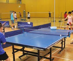 Image result for Dane End Junior Badminton Club