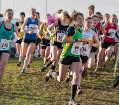 Image result for Manchester Harriers & Athletics Club
