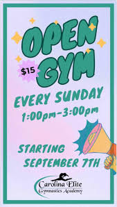 Image result for Epping Forest Elite Gymnastics Club