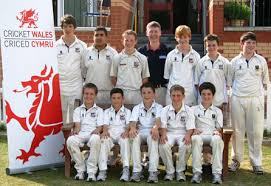Image result for Ynysygerwn Cricket Club