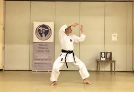 Image result for Jodan Karate