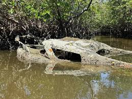 Image result for York Canoe Club