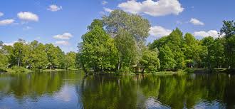 Image result for Runnymede Angling Association