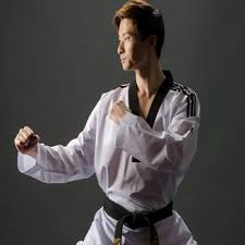 Image result for White Tiger Martial Arts