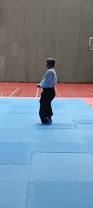 Image result for Fudokai Aikido Dojo