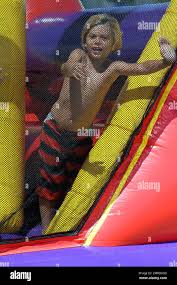 Image result for Queen B by Bumbleride $428 Gwen Stefani and Gavin Rossdale with Kingston and Zuma at the LA zoo