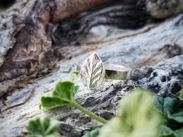Attēlu rezultāti vaicājumam “Artemisia vulgaris leaf”