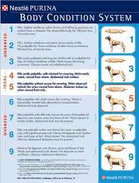 Image result for Keeping In Shape