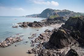 Image result for Ilfracombe & N Devon