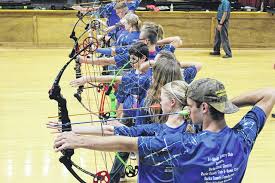 Image result for Blue Arrows Archery Club