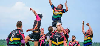 Image result for Bingham Rugby Union Football Club