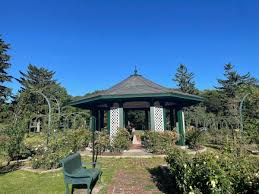 Image result for Thorn Park L T C