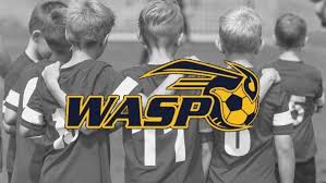 Image result for Warsash Wasps Sports & Football Club
