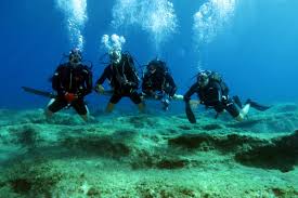 Image result for Manta Divers Sub-Aqua Club