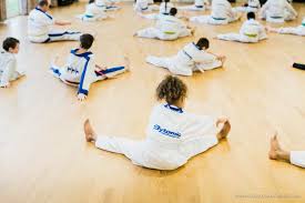 Image result for Bytomic Tae Kwon Do Beaconsfield