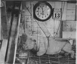 Image result for "scott liddell"