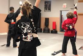 Image result for Action Karate