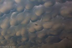 Attēlu rezultāti vaicājumam “Mammatus”