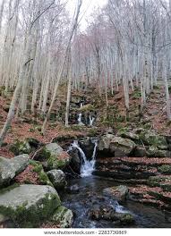 Image result for cascate del dardagna