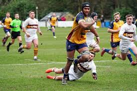 Image result for Huddersfield Ymca Rugby Union Football Club
