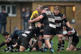 Image result for Sutton & Epsom Rugby Football Club