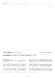 Attēlu rezultāti vaicājumam “Myurella julacea”