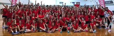 Image result for Waverley Netball Club