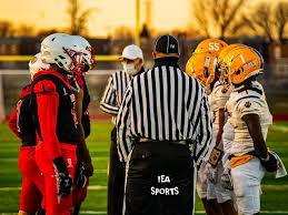 Image result for North East Vikings