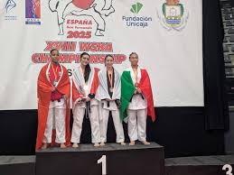 Image result for Sendai Kushiro Karate