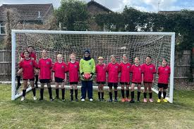 Image result for Beecholme Belles Banstead FC