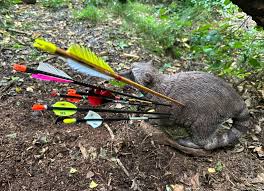 Image result for Long Eaton Field Archery Club