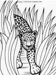 Leopard coloring page