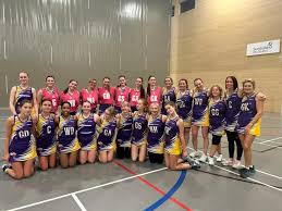 Image result for Wyvern Ladies Netball Club