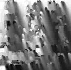 Attēlu rezultāti vaicājumam “Anthostoma decipiens”