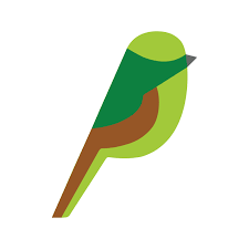 Image result for Seiurus noveboracensis