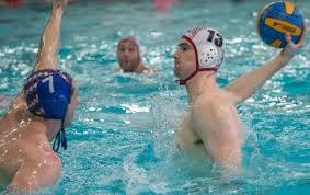 Image result for Cheltenham Swimming & Water Polo Club