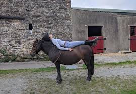 Image result for Greenways Riding Stable Lower Eashing