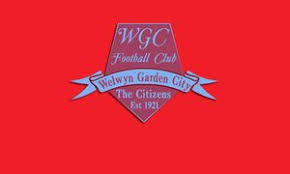 Image result for Welwyn Garden City Panshanger Football Club