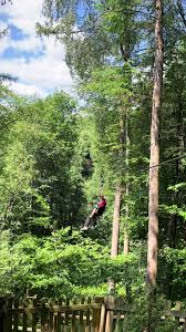 Image result for Go Ape! Dalby
