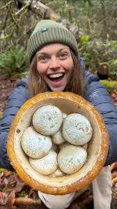 Attēlu rezultāti vaicājumam “Hemitrichia decipiens var. hemitrichoides”