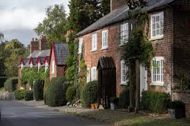 Image result for New Forest/Waterside