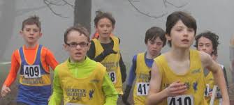 Image result for Wirral Athletics Club