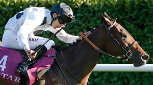 Image result for Elite Racing Club