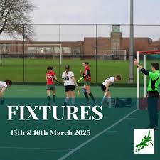 Image result for Norwich Dragons Hockey Club