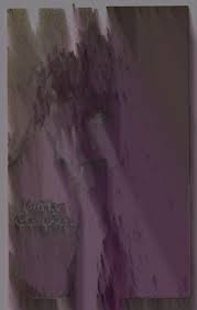 Image result for Maclaren Twin Triumph Heidi Klum